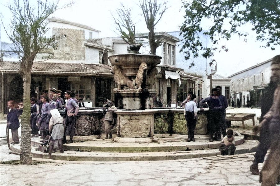 Τα Λιοντάρια, την περίοδο 1901 – 1904