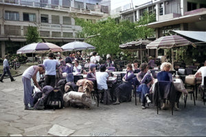 Καφετέριες στα Λιοντάρια