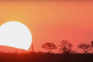 Το 2025 οδεύει να γίνει το δεύτερο θερμότερο έτος που καταγράφτηκε ποτέ