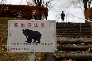 Ιαπωνία: Μια πόλη αφαίρεσε εικόνες αρκούδων που δημιουργήθηκαν από τεχνητή νοημοσύνη