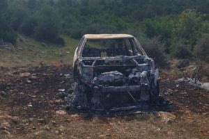 Βοιωτία: Ταυτοποιήθηκε ο άνδρας που εντοπίστηκε απανθρακωμένος σε IX