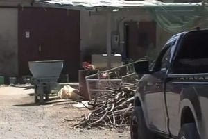 Ρέθυμνο: Βεντέτα πίσω από την επίθεση εναντίον κτηνοτρόφου – Του είχαν κόψει τη γλώσσα με ψαλίδι