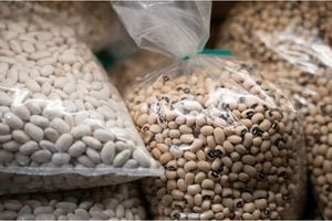 Όσπρια: Πότε αναμένεται να αυξηθούν οι τιμές και σε ποια είδη