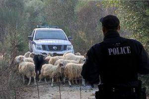 Χθες σήμερα αύριο 8/11/2025