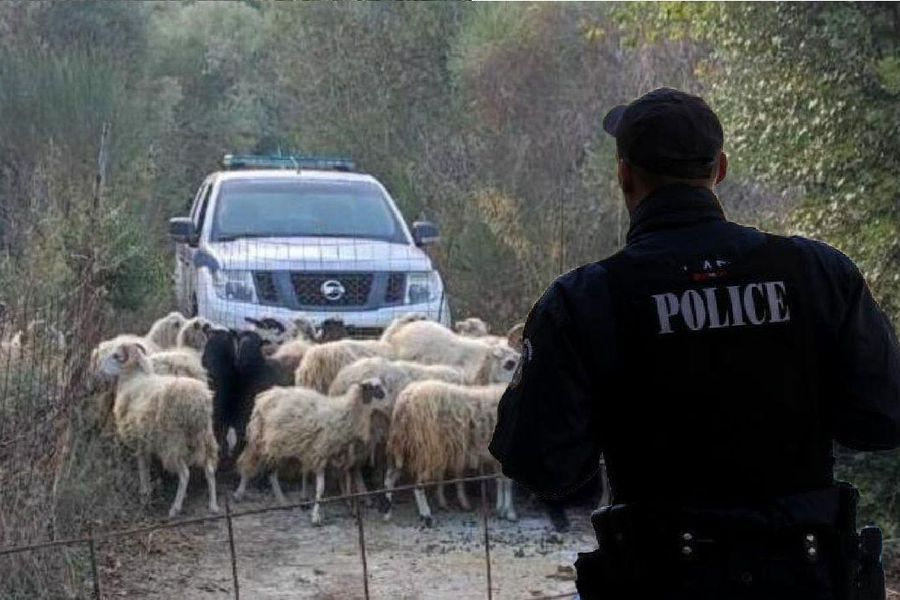 Χθες σήμερα αύριο 8/11/2025