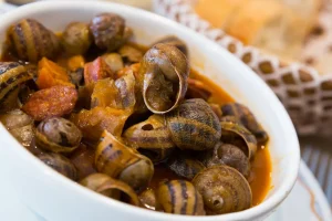 Έκλεψαν 450 κιλά σαλιγκάρια από οικογενειακή φάρμα στη Γαλλία