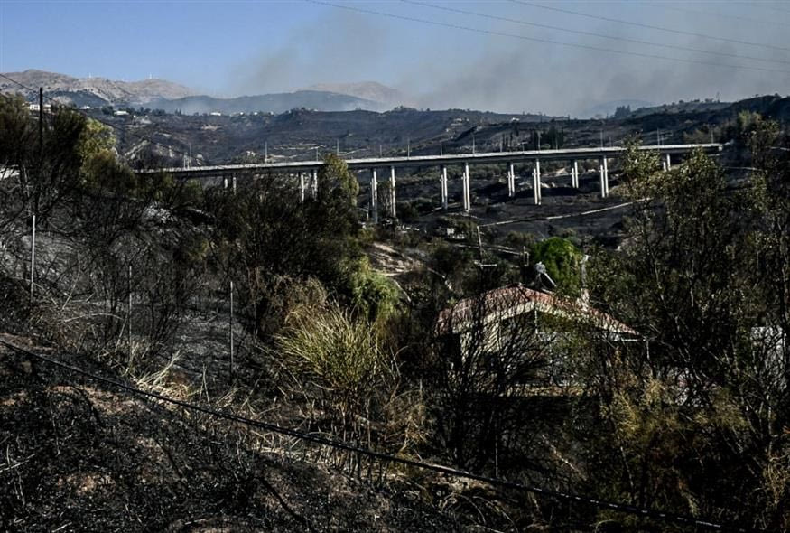 Στάχτη για άλλη μια χρονιά η Ελλάδα: 39% αυξημένος αριθμός πυρκαγιών – Μισό εκατ. στρέμματα αποτεφρωμένα