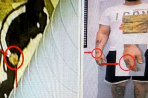 Πώς έφτασαν οι Αρχές στους δράστες της ληστείας των 180.000 ευρώ στην Κηφισιά