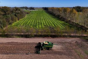 ΟΠΕΚΕΠΕ: Στο μικροσκόπιο 3.000 «ιδιοκτήτες» που έγραφαν και έσβηναν χωράφια από το Ε9