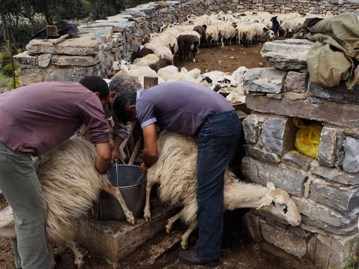 Κάλεσμα του δήμου Ανωγείων για στήριξη των αγροτικών κινητοποιήσεων