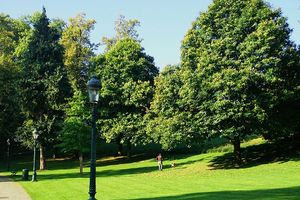 Η Κρήτη αποκτά επιτέλους πρωτόκολλο διαχείρισης του αστικού πρασίνου