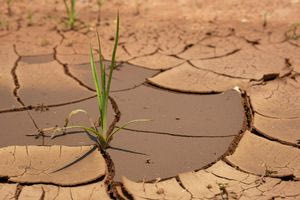 Κίνδυνος για καθιζήσεις εδάφων στη Μεσαρά