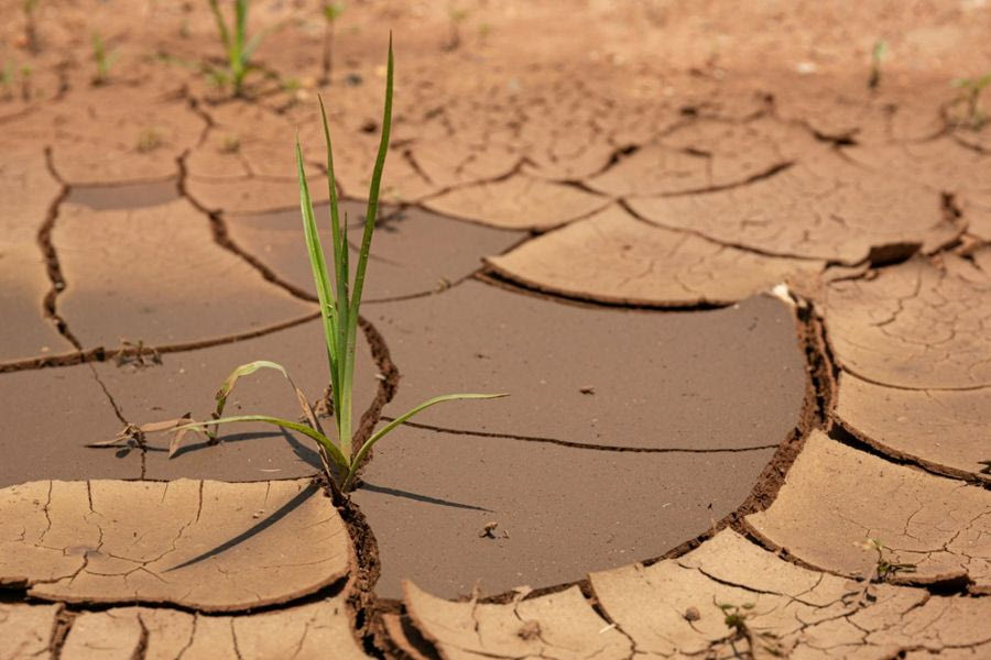 Κίνδυνος για καθιζήσεις εδάφων στη Μεσαρά