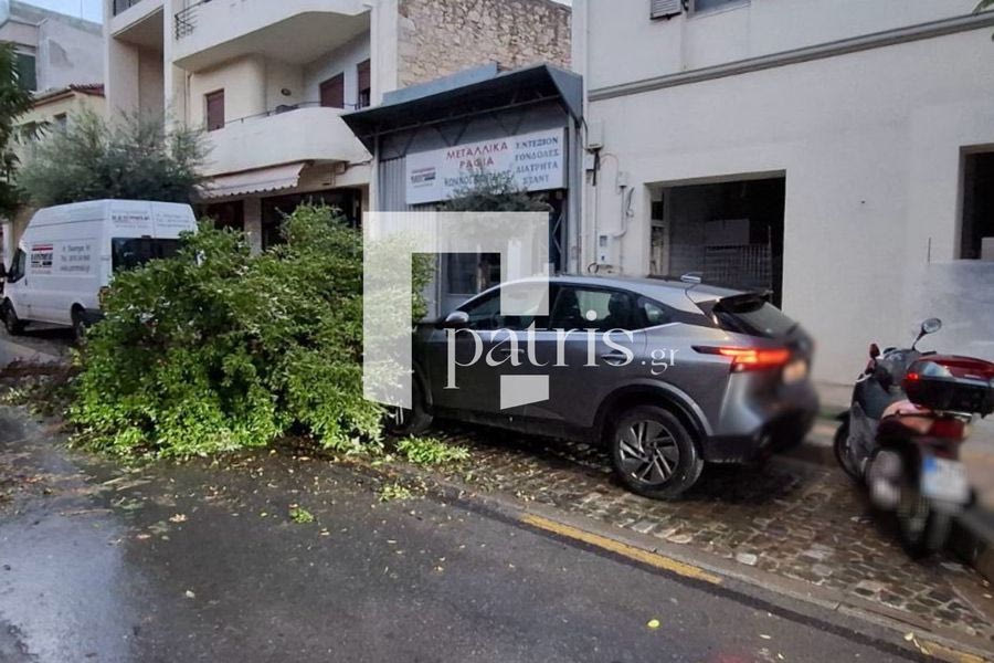 (ΦΩΤΟ) Έπεσαν δέντρα στο Ηράκλειο από τους ισχυρούς ανέμους
