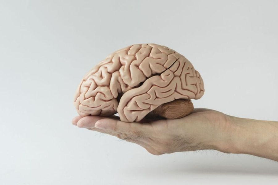 Επιστήμονες ανακαλύπτουν την κρυφή δύναμη του εγκεφάλου να καίει λίπος