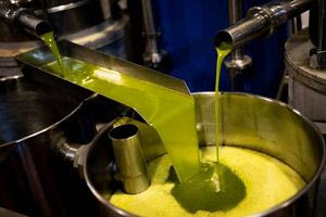 Χρονιά πολλών ταχυτήτων για την παραγωγή ελαιολάδου