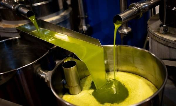 Χρονιά πολλών ταχυτήτων για την παραγωγή ελαιολάδου