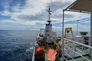 Έλληνες επιστήμονες αποκάλυψαν το παρελθόν της Ερυθράς Θάλασσας