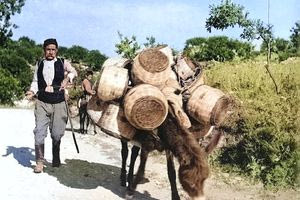 Καλαθάς με την «πραμάτεια»