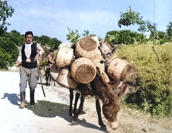 Καλαθάς με την «πραμάτεια»