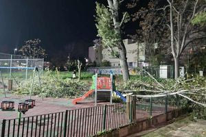 Παραλίγο τραγωδία στο Χαϊδάρι: Δέντρο έπεσε σε παιδική χαρά