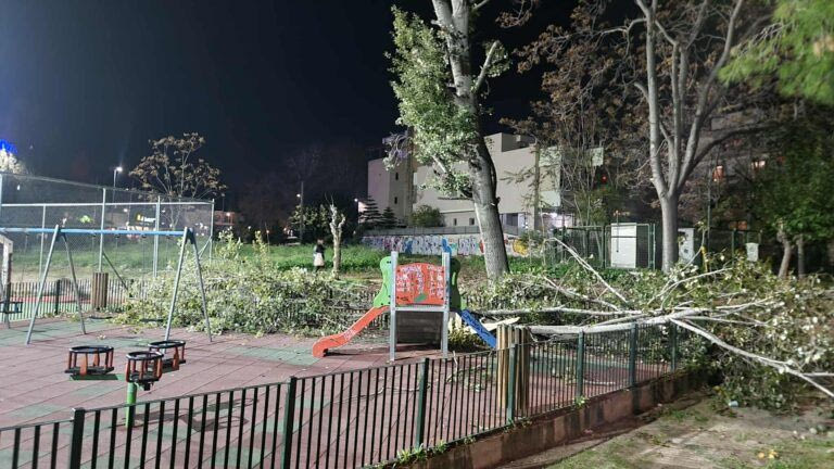 Παραλίγο τραγωδία στο Χαϊδάρι: Δέντρο έπεσε σε παιδική χαρά