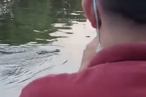 Φρικτός θάνατος για 10χρονο στην Ινδονησία: Τον άρπαξε κροκόδειλος ενώ κολυμπούσε με φίλους του