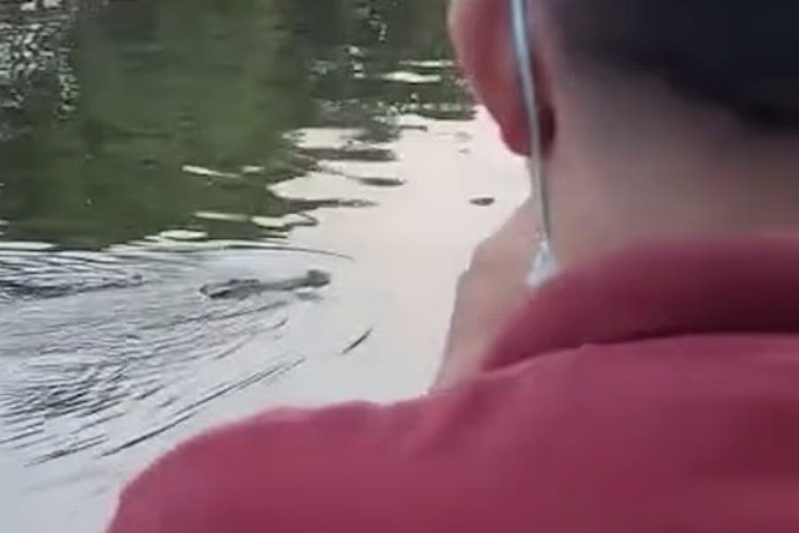 Φρικτός θάνατος για 10χρονο στην Ινδονησία: Τον άρπαξε κροκόδειλος ενώ κολυμπούσε με φίλους του