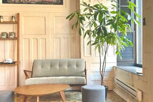 Αυτό είναι το «φυτό της χρονιάς» για το 2026 -Φέρνει τύχη και χρειάζεται ελάχιστη φροντίδα