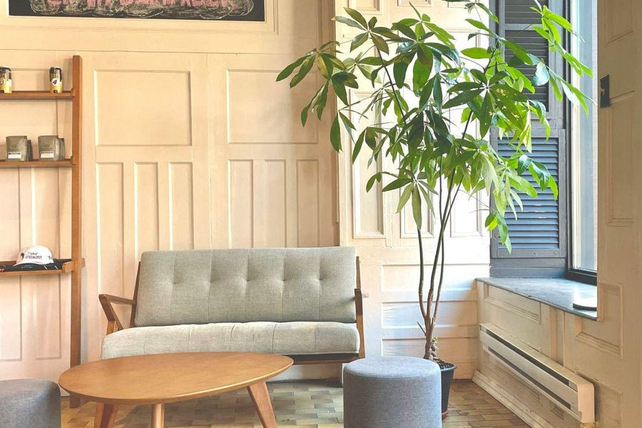 Αυτό είναι το «φυτό της χρονιάς» για το 2026 -Φέρνει τύχη και χρειάζεται ελάχιστη φροντίδα