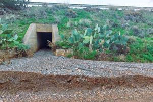 «Ευτυχώς δεν θρηνήσαμε ανθρώπινες ζωές»: Μεγάλο πρόβλημα με τη διαχείριση των ομβρίων υδάτων στον Εσταυρωμένο