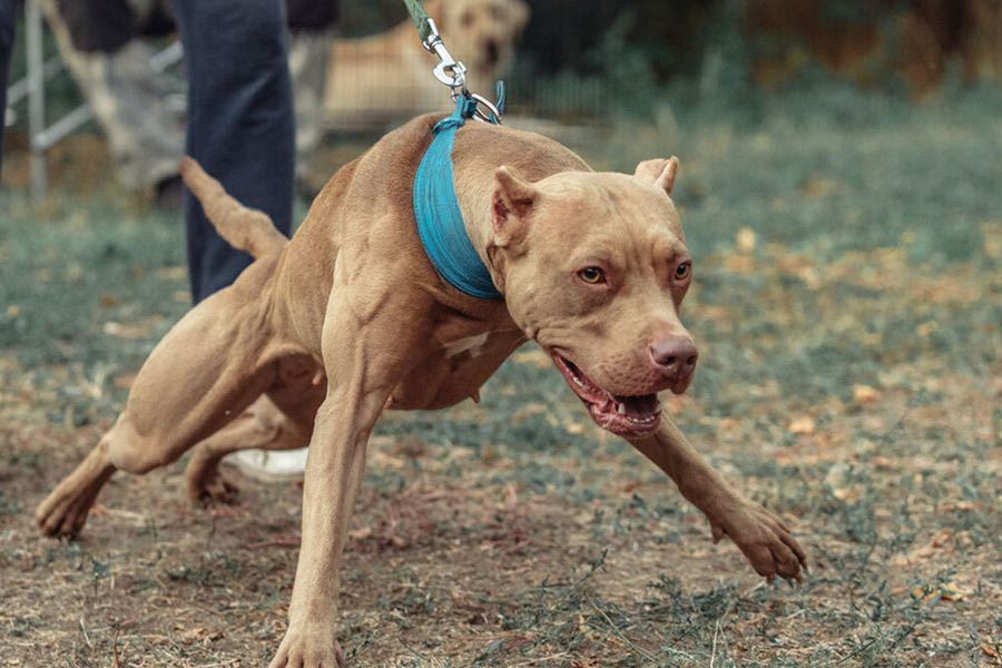 Ζάκυνθος: «Δεν έχουμε αντικρίσει ξανά τέτοια εικόνα» – Σε σοκ οι διασώστες που είδαν το παιδί