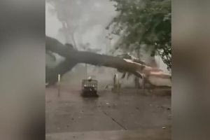 Ισχυρός κυκλώνας έπληξε το Σάο Πάολο – Ξεπέρασαν τα 90 χλμ. οι άνεμοι