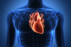 Στεφανιαία νόσος: Πώς η σύγχρονη χειρουργική βελτιώνει τη ζωή των ασθενών