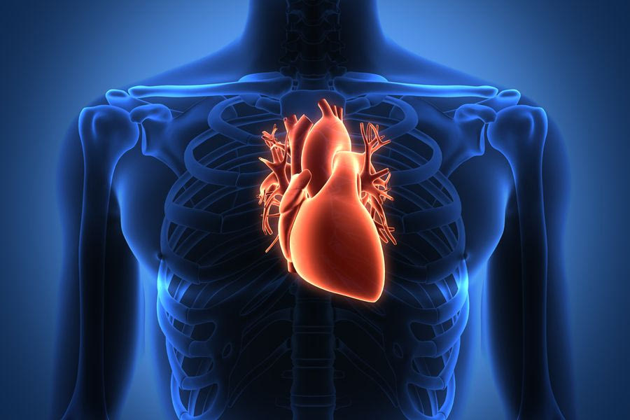 Στεφανιαία νόσος: Πώς η σύγχρονη χειρουργική βελτιώνει τη ζωή των ασθενών