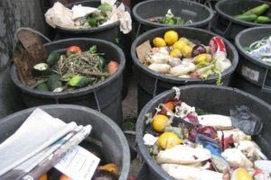 Πώς μπορείτε να μειώσετε τη σπατάλη τροφίμων – Τι πρέπει να κάνετε