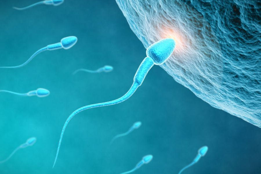 Ευρώπη: Σπέρμα δότη με καρκινογόνο γονίδιο χρησιμοποιήθηκε και στην Ελλάδα