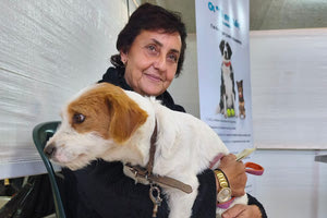 198 στειρώσεις, 199 ηλεκτρονικές σημάνσεις και 40 δείγματα DNA στον δήμο Μινώα Πεδιάδας