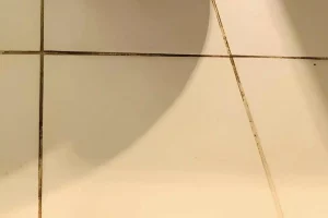 Πώς να αφαιρέσεις τη μαυρίλα ανάμεσα στα πλακάκια στο μπάνιο
