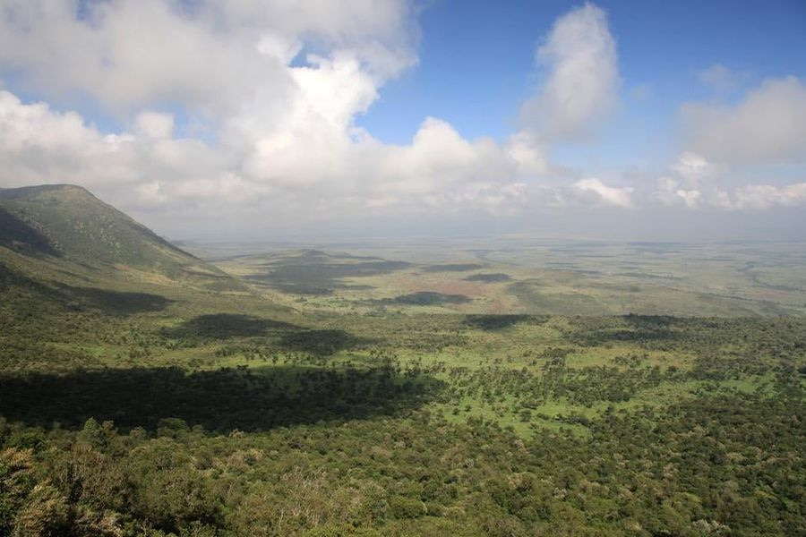 Τα αφρικανικά δάση ρυπαίνουν πλέον το περιβάλλον με διοξείδιο του άνθρακα