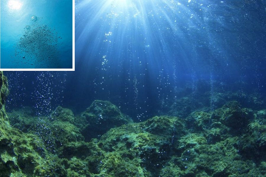 Το οξυγόνο που αναπνέουμε εξαρτάται από ένα μικροσκοπικό συστατικό του ωκεανού