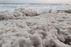 (ΦΩΤΟ – ΒΙΝΤΕΟ) Χανιά: Άφρισε η θάλασσα μετά την κακοκαιρία