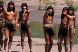 Σπάνιο βίντεο από φυλή που ζει απομονωμένη στον Αμαζόνιο – «Σκεφτόμουν από πού θα έρθει το βέλος» λέει ο περιβαλλοντολόγος που την ανακάλυψε