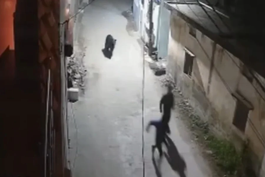 Δείτε βίντεο: Άγρια αρκούδα παίρνει στο κυνήγι δύο άνδρες σε επαρχία της Ινδίας