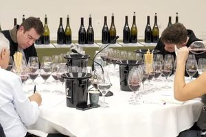 Έτοιμος ο επετειακός συλλεκτικός οίνος για τον Αλέξη Ζορμπά