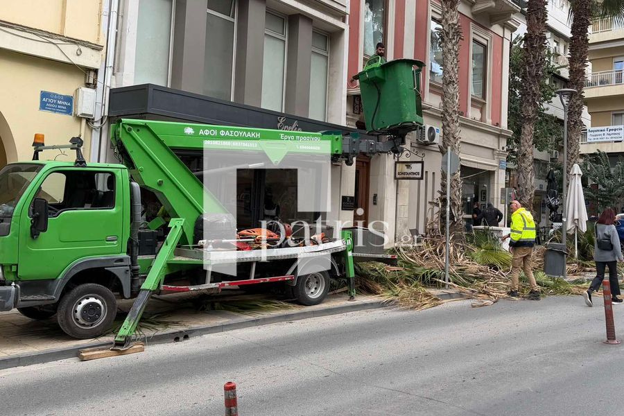 Καθάριζαν τους φοίνικες και πετούσαν τα κλαδιά στο δρόμο