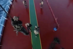 Βίντεο από το ρεσάλτο Γάλλων κομάντο σε δεξαμενόπλοιο -Υποπτο για συμμετοχή στο ρωσικό «σκιώδη» στόλο