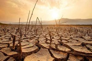 Δυστυχώς ή ευτυχώς, θα έχουμε ξηρικό έτος;