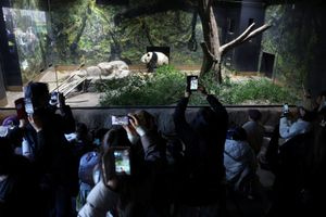 Η Ιαπωνία μένει χωρίς πάντα για πρώτη φορά από το 1972 – Γιατί επιστρέφουν τα 2 τελευταία στην Κίνα