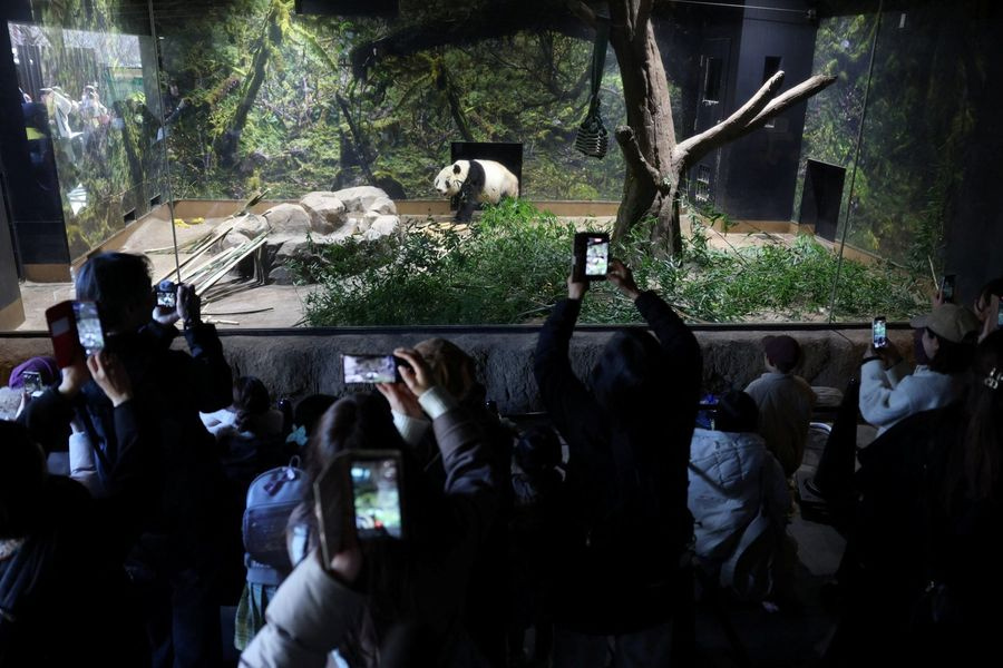 Η Ιαπωνία μένει χωρίς πάντα για πρώτη φορά από το 1972 – Γιατί επιστρέφουν τα 2 τελευταία στην Κίνα